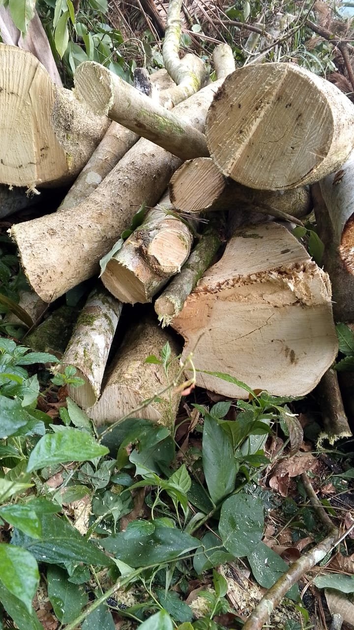 Área de musculação